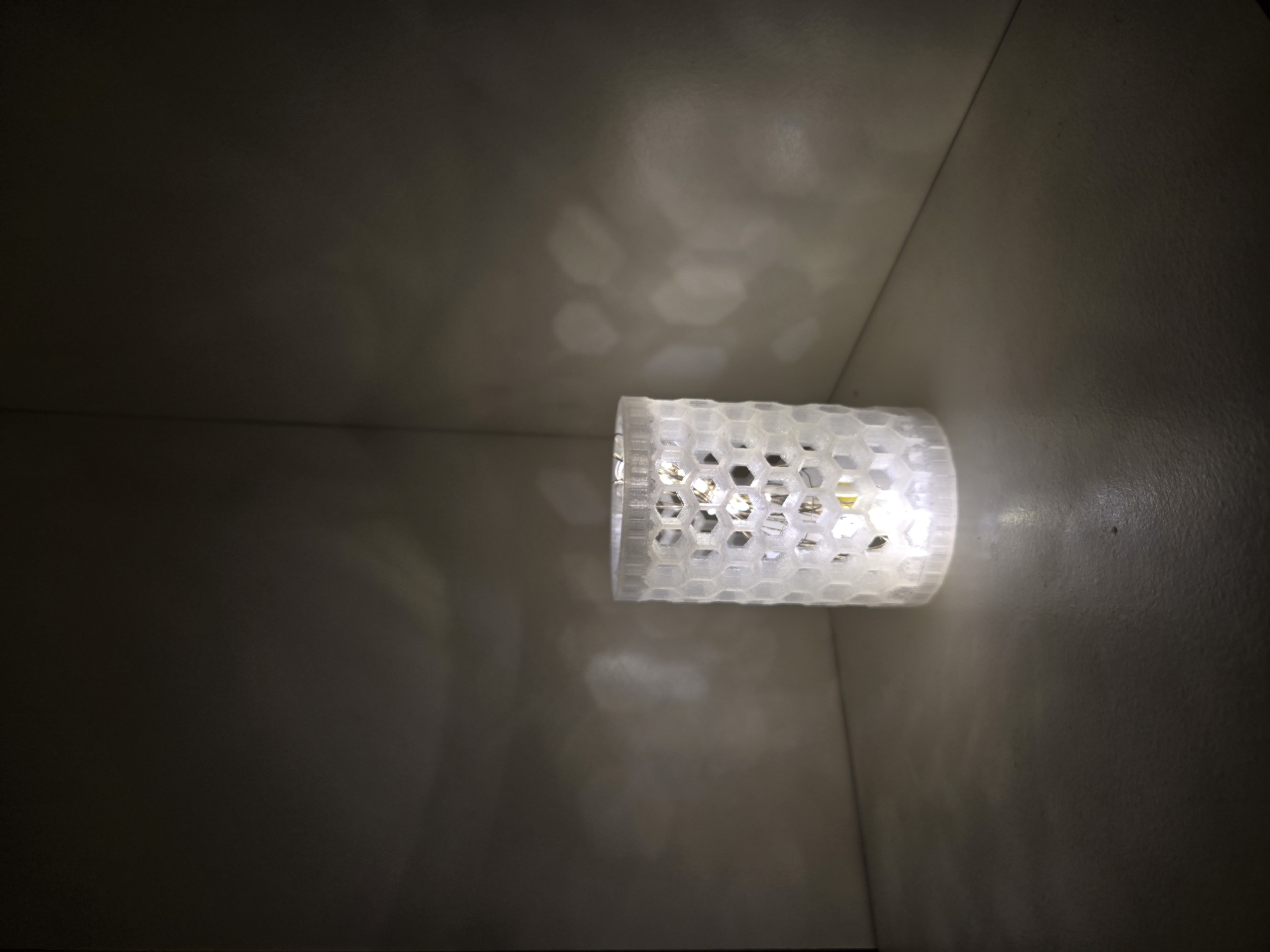 Lamp Shade 2